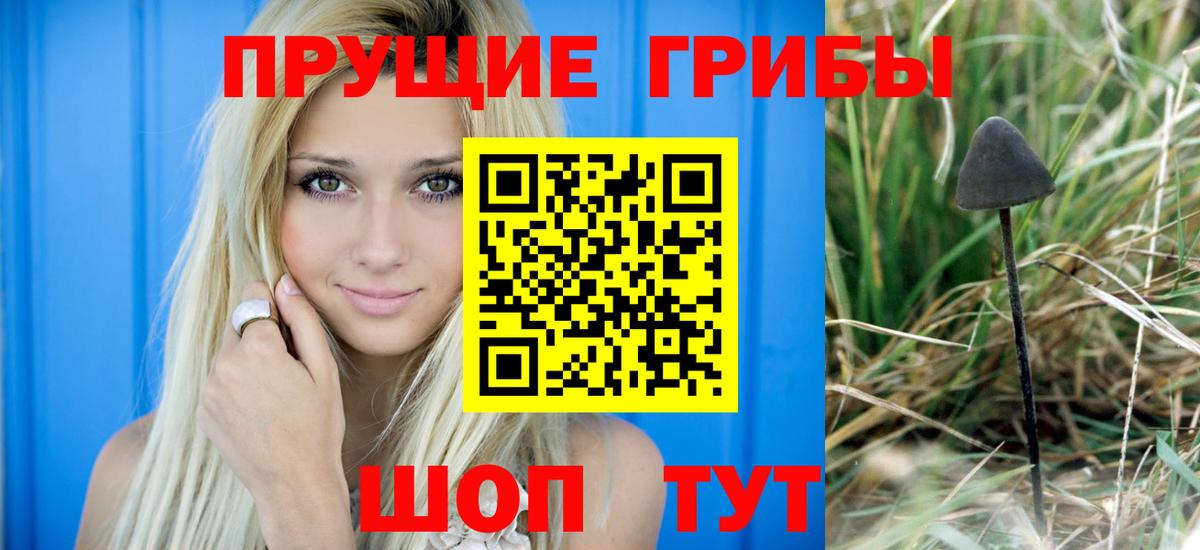 Галлюциногенные грибы мухоморы Щёлково