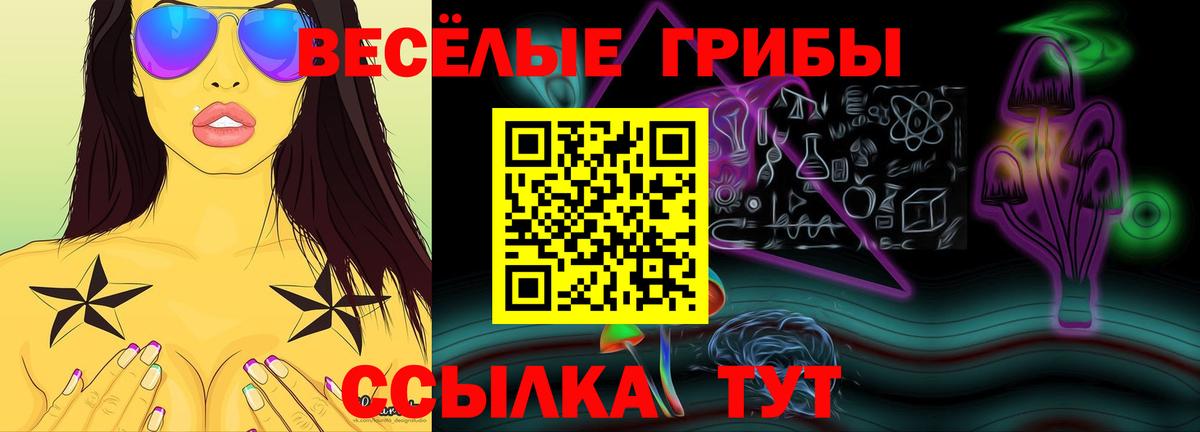 Щёлково  Галлюциногенные грибы Magic Shrooms  Вход с VPN  Псилоцибиновые грибы прущие грибы 